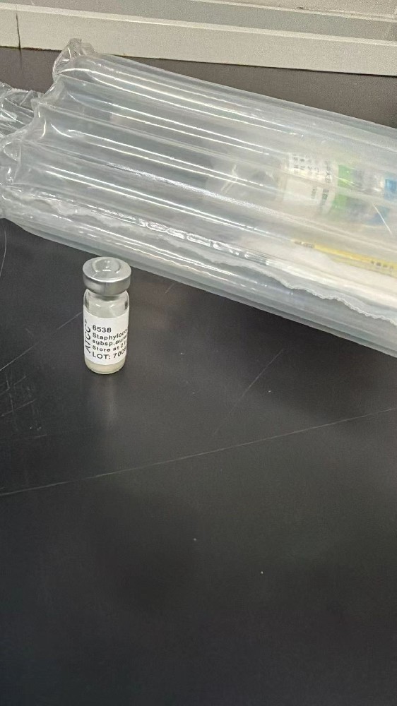 ATCC 6538（金黄色葡萄球菌 Staphylococcus aureus subsp. aureus）