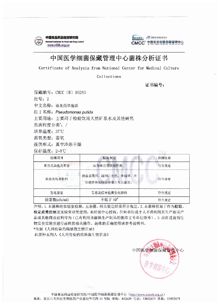 恶臭假单胞菌  国家标准菌种[CMCC(B) 10283]