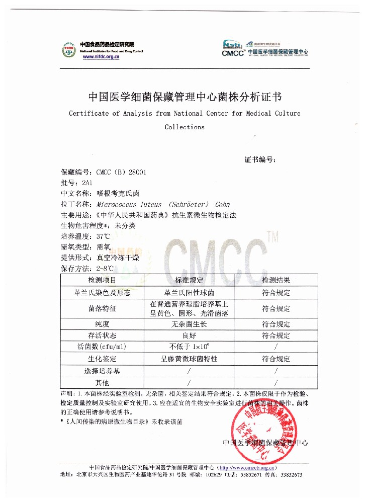 藤黄微球菌  国家标准菌种[CMCC(B) 28001]