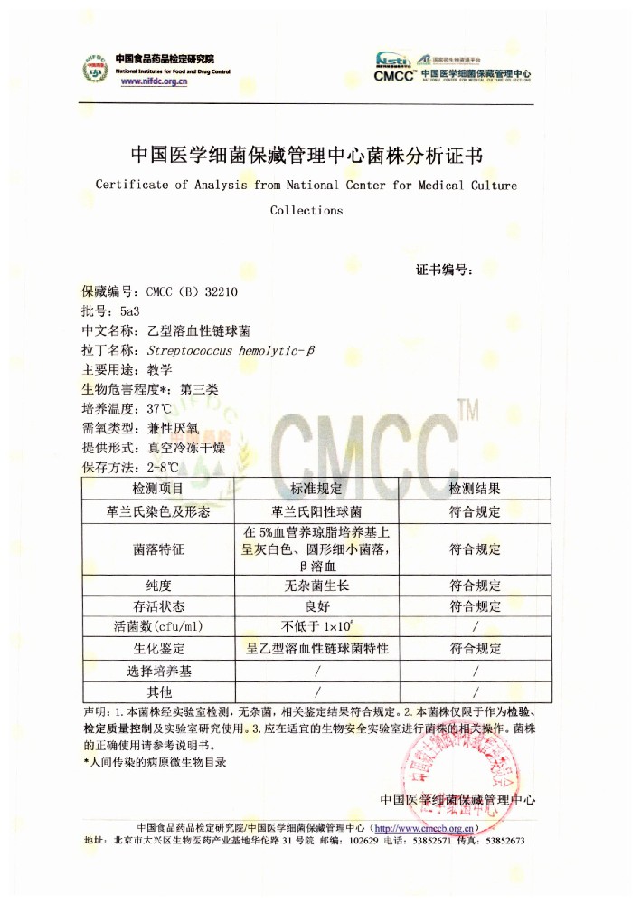 乙型溶血性链球菌链球菌  国家标准菌种[CMCC(B) 32210]